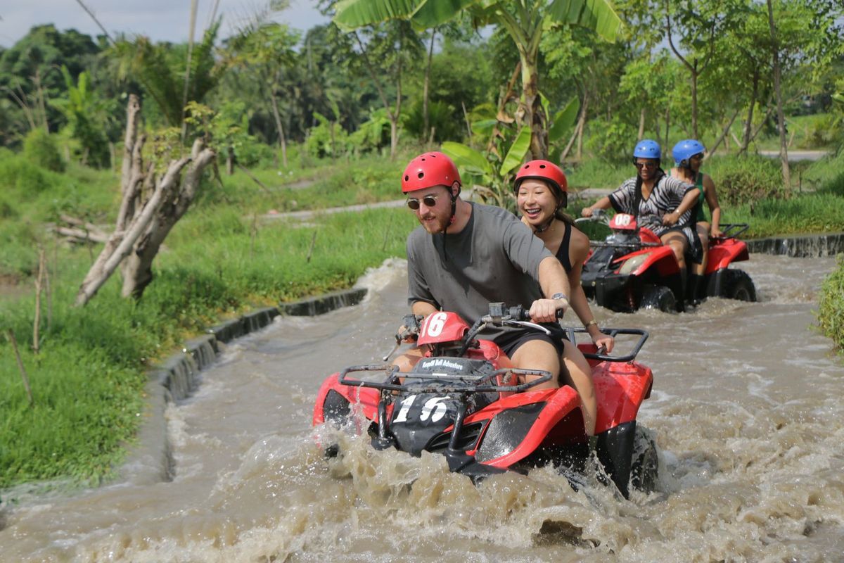 ATV in rice fields
